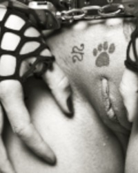 album-cover